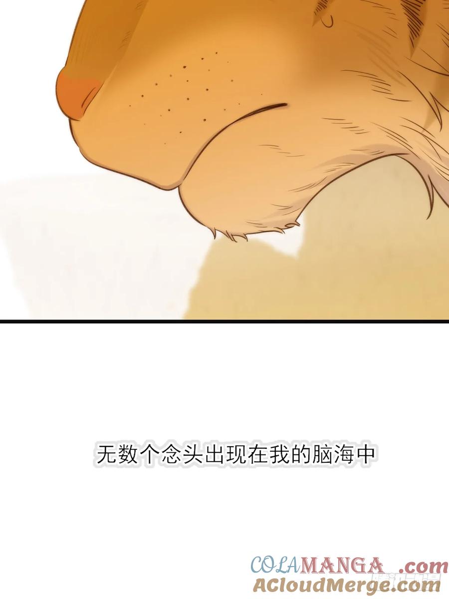 《只有尾巴不可以！》虎与爆篇1 第25页