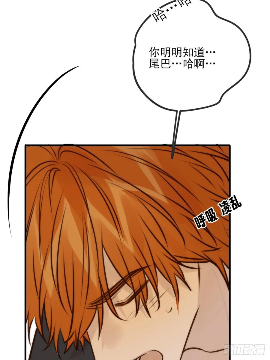 《只有尾巴不可以！》敏感的尾巴 第15页