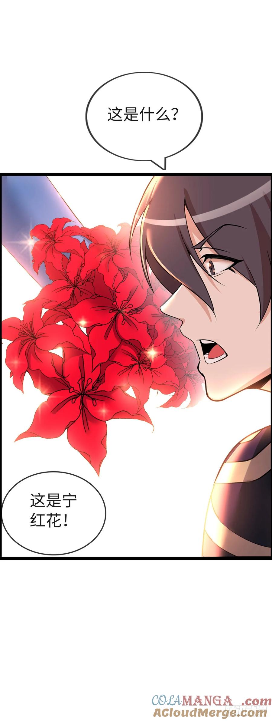 《开直播，在异界横着走》带货 第27页