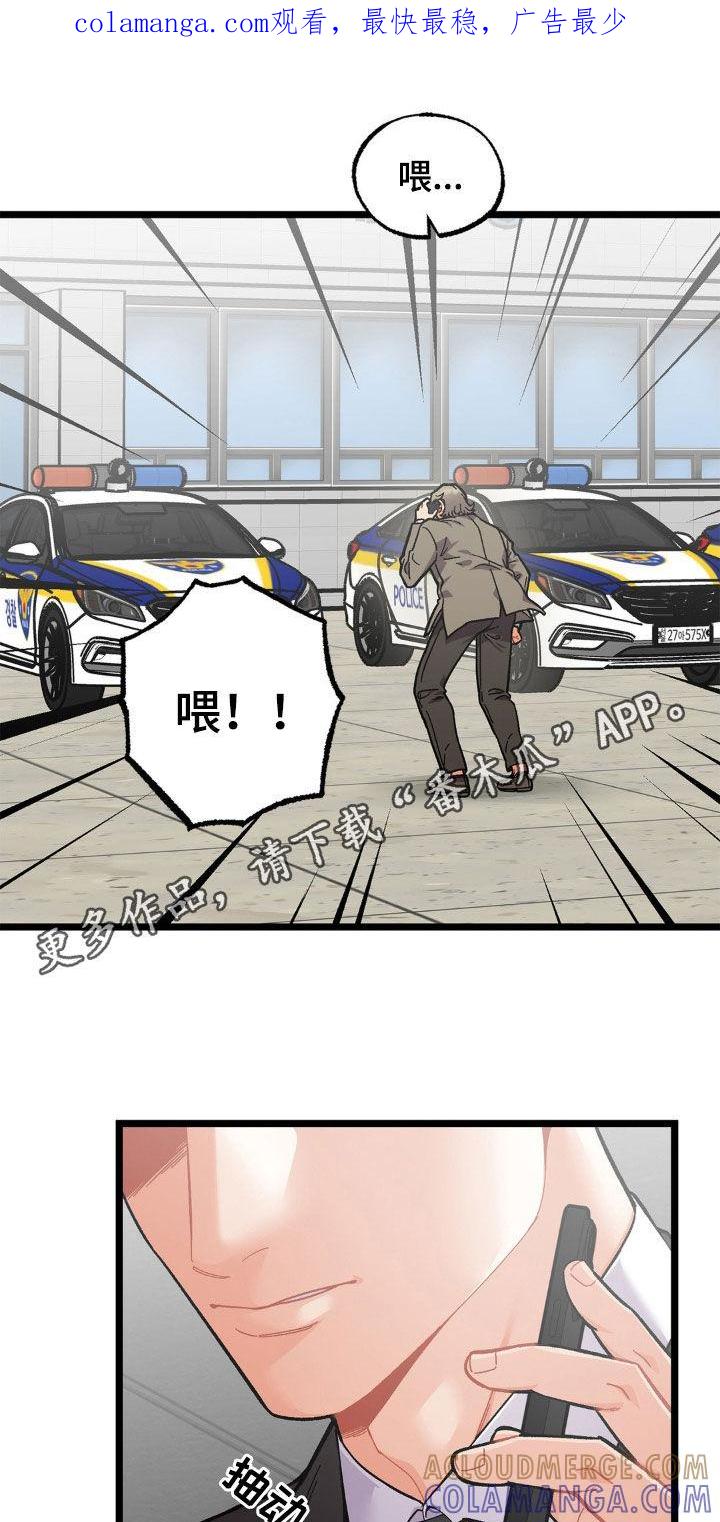 《浴火重生》第44章：全都杀了 第1页