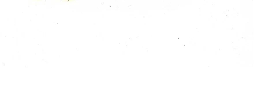 我家大师兄脑子有坑 番外14 飞星喵一 第40页