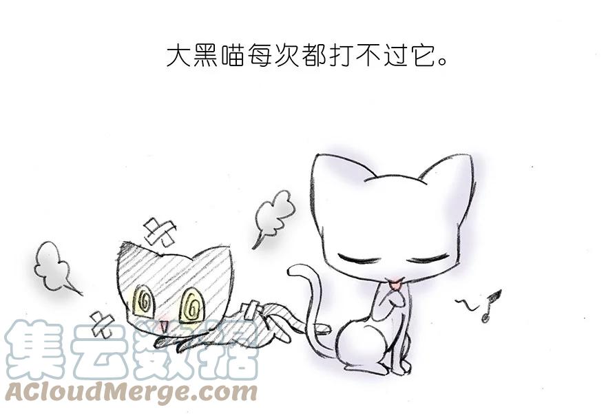我家大师兄脑子有坑 番外15 飞星喵二 第6页