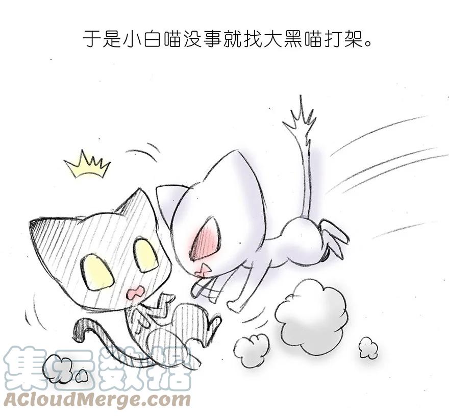我家大师兄脑子有坑 番外15 飞星喵二 第5页