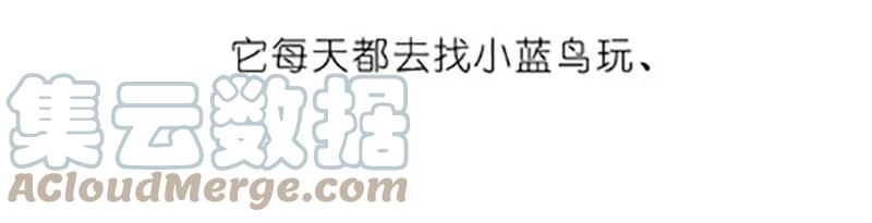 我家大师兄脑子有坑 番外20 飞星喵五 第5页