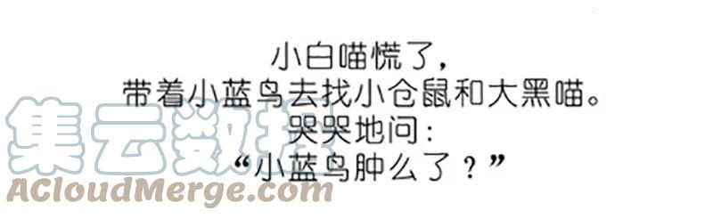 我家大师兄脑子有坑 番外20 飞星喵五 第13页