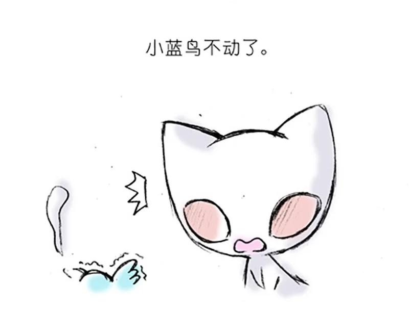 我家大师兄脑子有坑 番外20 飞星喵五 第12页