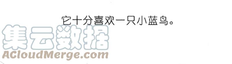 我家大师兄脑子有坑 番外20 飞星喵五 第3页