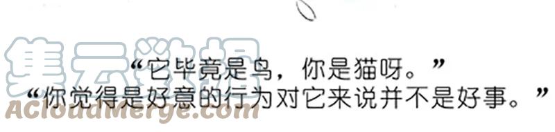 我家大师兄脑子有坑 番外20 飞星喵五 第17页