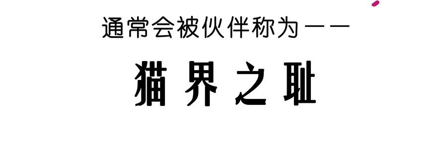 我家大师兄脑子有坑 番外25 飞星喵六 第19页