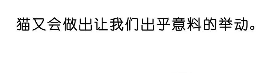 我家大师兄脑子有坑 番外25 飞星喵六 第13页