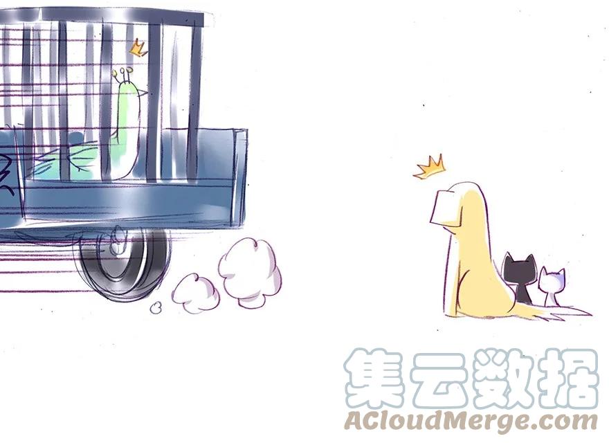 我家大师兄脑子有坑 番外26 飞星喵七 第17页