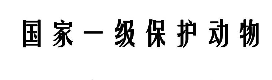 我家大师兄脑子有坑 番外26 飞星喵七 第14页