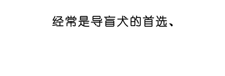 我家大师兄脑子有坑 番外26 飞星喵七 第10页