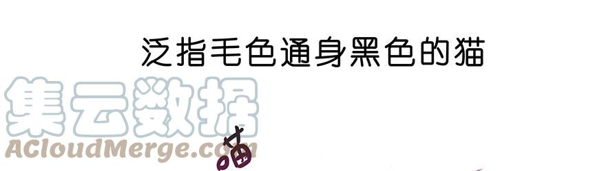 我家大师兄脑子有坑 番外26 飞星喵七 第7页