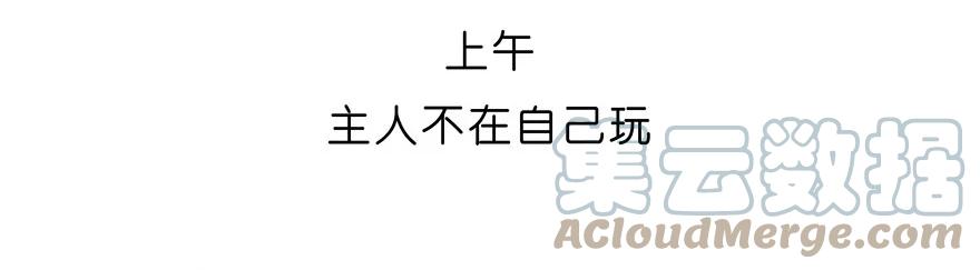 我家大师兄脑子有坑 番外27 飞星喵八 第7页