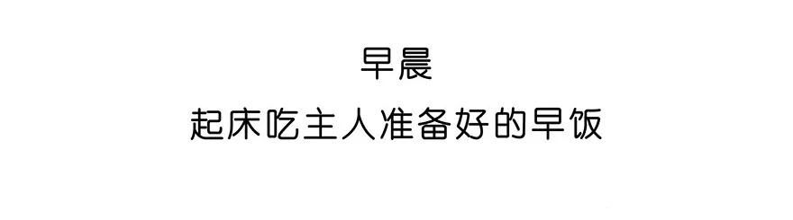 我家大师兄脑子有坑 番外27 飞星喵八 第4页
