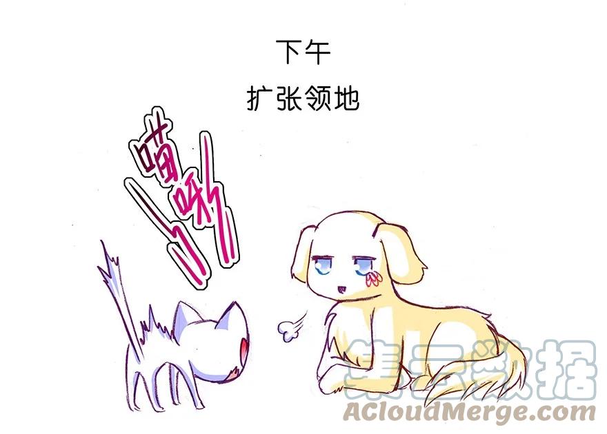 我家大师兄脑子有坑 番外27 飞星喵八 第11页