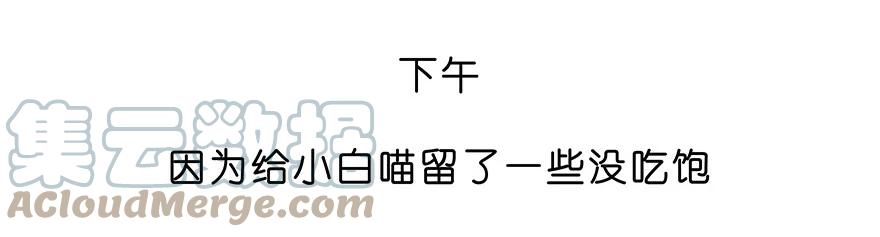 我家大师兄脑子有坑 番外28 飞星喵九 第11页
