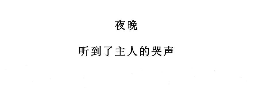 我家大师兄脑子有坑 番外28 飞星喵九 第22页