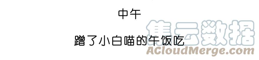 我家大师兄脑子有坑 番外28 飞星喵九 第9页