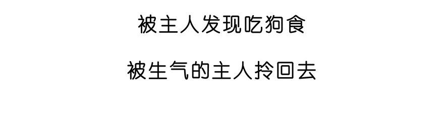 我家大师兄脑子有坑 番外28 飞星喵九 第16页