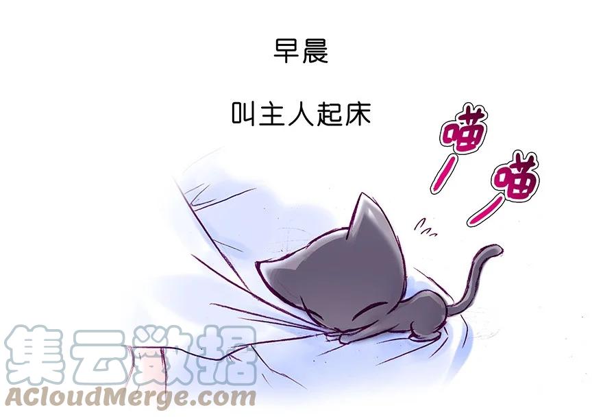 我家大师兄脑子有坑 番外28 飞星喵九 第5页