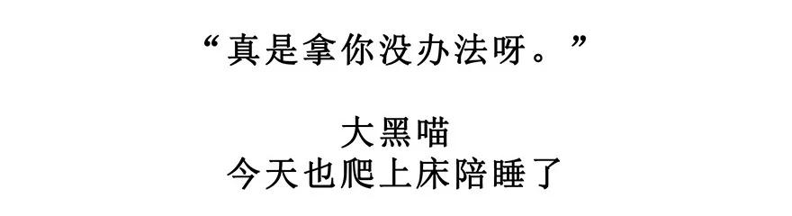 我家大师兄脑子有坑 番外28 飞星喵九 第24页