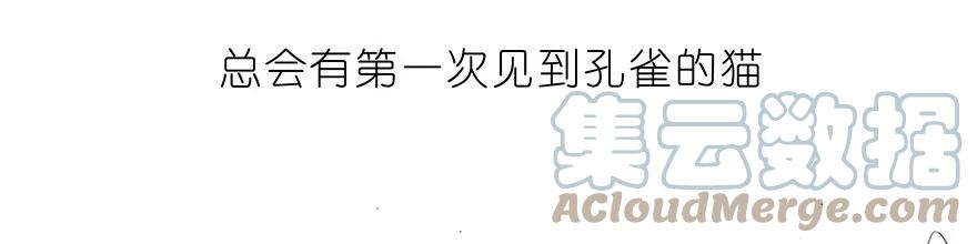 我家大师兄脑子有坑 番外30 飞星喵十 第9页