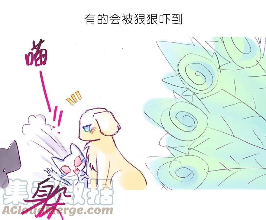 我家大师兄脑子有坑 番外30 飞星喵十 第11页