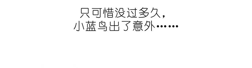 我家大师兄脑子有坑 番外32 飞星喵十二 第12页