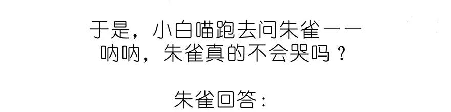 我家大师兄脑子有坑 番外32 飞星喵十二 第4页