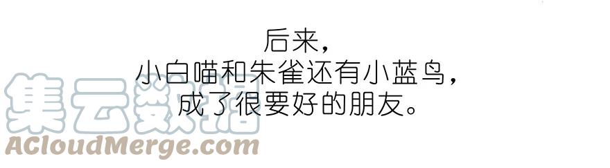 我家大师兄脑子有坑 番外32 飞星喵十二 第11页