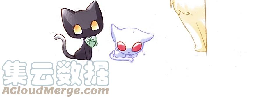 我家大师兄脑子有坑 番外33 飞星喵十三 第11页