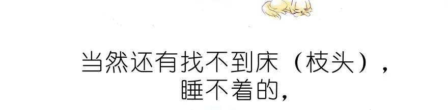 我家大师兄脑子有坑 番外37 飞星喵十五 第12页