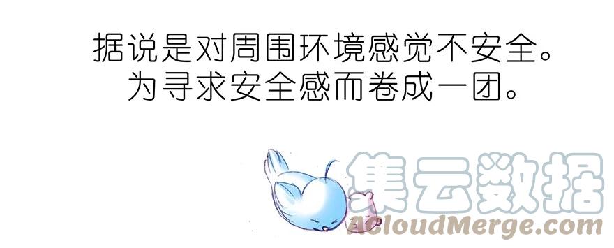 我家大师兄脑子有坑 番外37 飞星喵十五 第5页