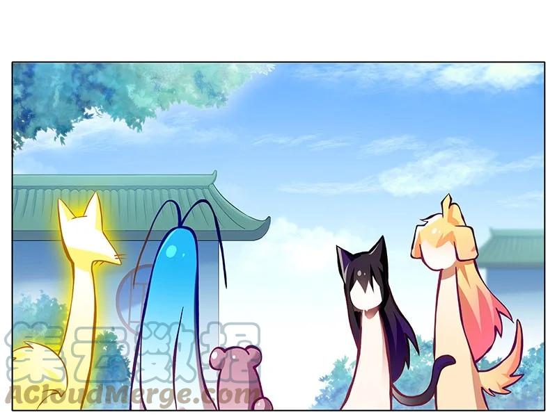 我家大师兄脑子有坑 269 第11页