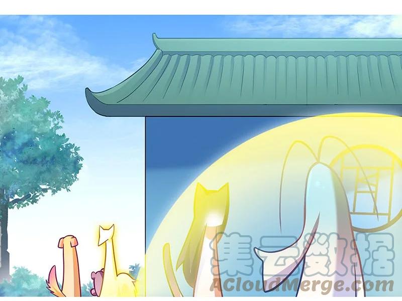我家大师兄脑子有坑 269 第15页
