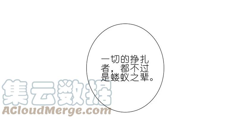我家大师兄脑子有坑 270273 270-273 第43页