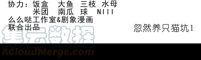 我家大师兄脑子有坑 番外43 忽然想养猫坑1 第2页