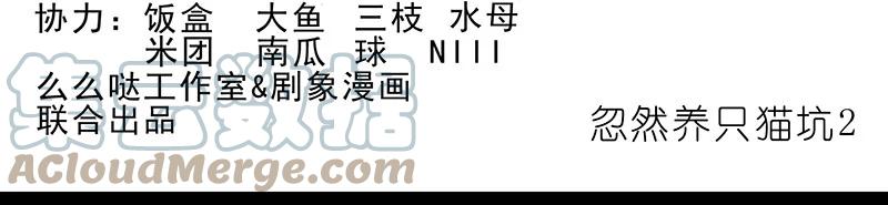 我家大师兄脑子有坑 番外44 忽然想养猫坑2 第2页