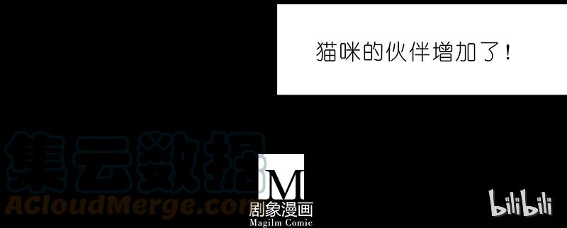 我家大师兄脑子有坑 番外44 忽然想养猫坑2 第11页