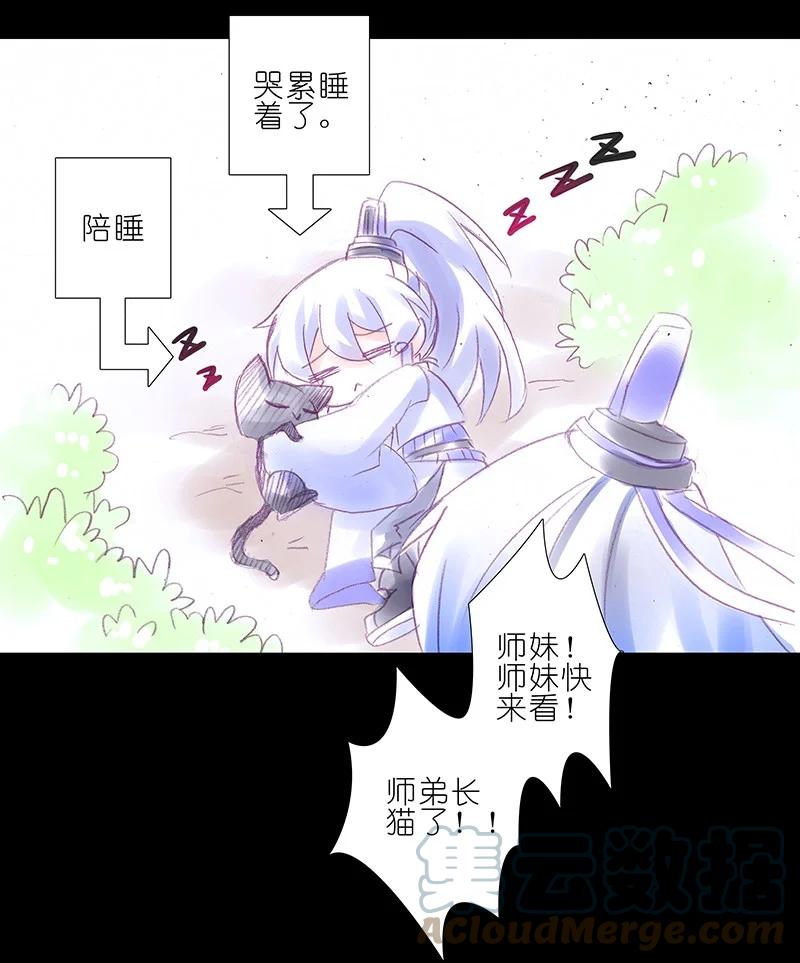 我家大师兄脑子有坑 番外45 忽然想养猫坑3 第13页