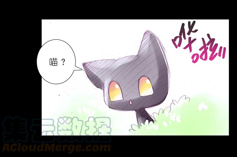 我家大师兄脑子有坑 番外45 忽然想养猫坑3 第8页