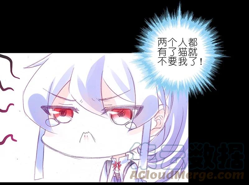 我家大师兄脑子有坑 番外45 忽然想养猫坑3 第4页