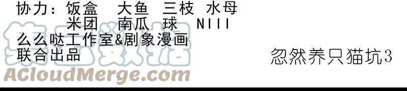 我家大师兄脑子有坑 番外45 忽然想养猫坑3 第2页