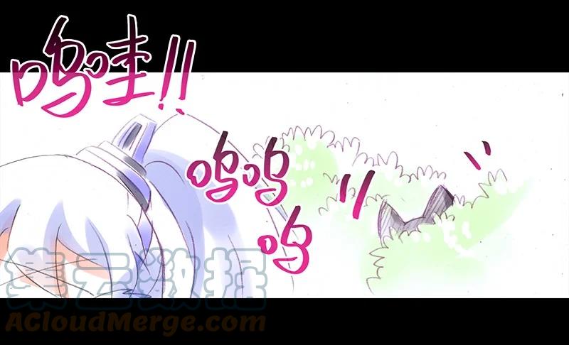 我家大师兄脑子有坑 番外45 忽然想养猫坑3 第7页