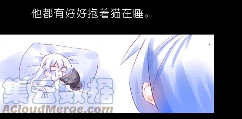我家大师兄脑子有坑 番外46 忽然想养猫坑4 第7页