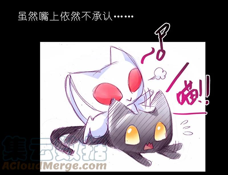 我家大师兄脑子有坑 番外46 忽然想养猫坑4 第10页