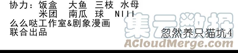 我家大师兄脑子有坑 番外46 忽然想养猫坑4 第2页