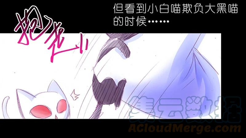 我家大师兄脑子有坑 番外46 忽然想养猫坑4 第11页